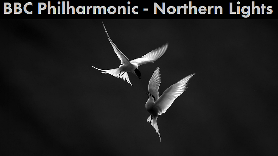 BBC Philharmonic - Northern Lights