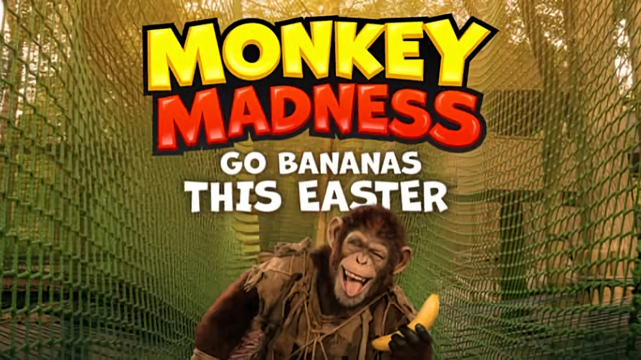 Zip World - Monkey Madness