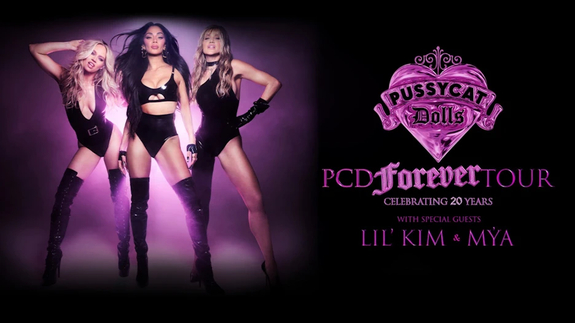 The Pussycat Dolls