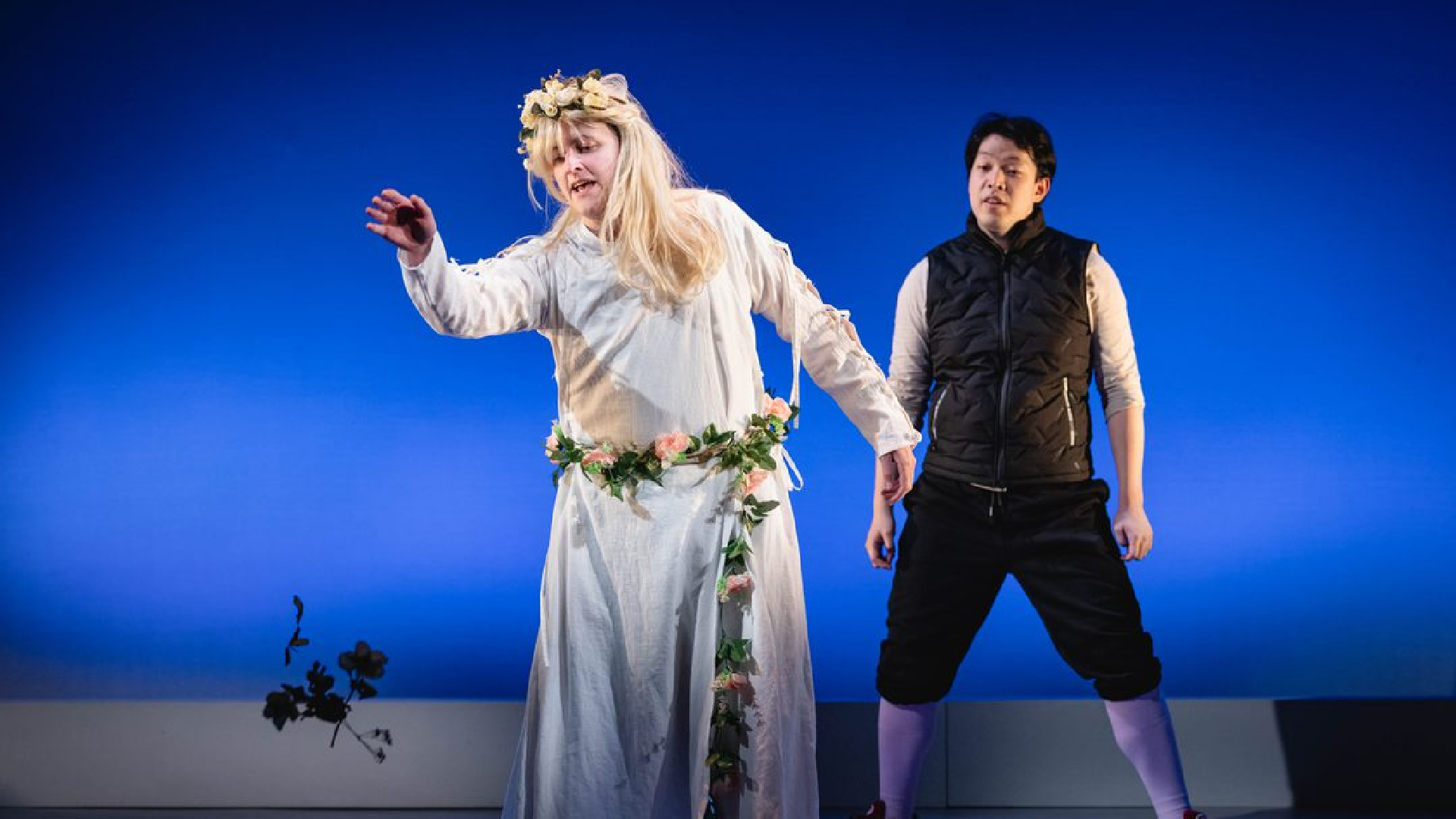 The Complete Works of William Shakespeare (abridged)