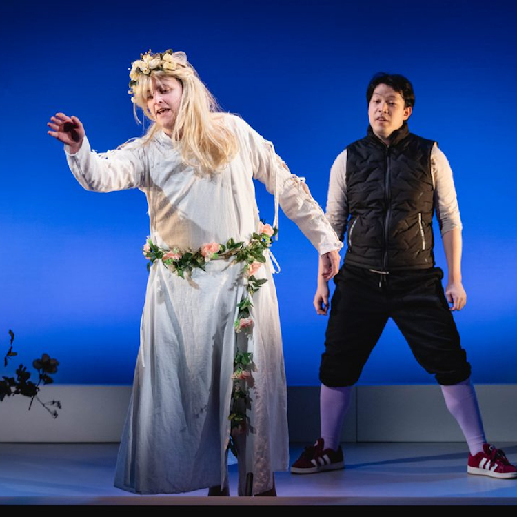 The Complete Works of William Shakespeare (abridged)