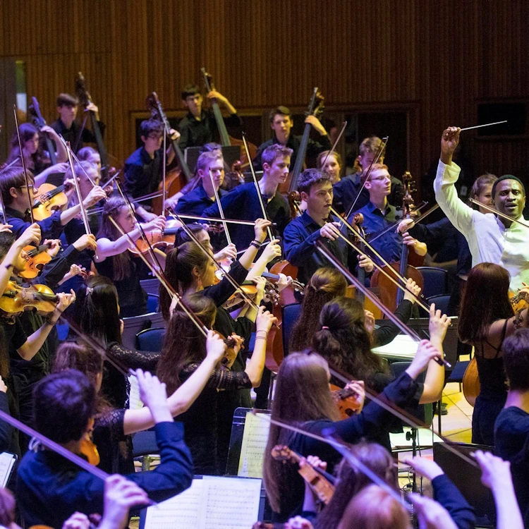 The National Youth Orchestra