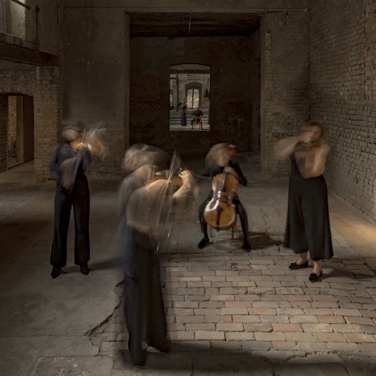 Chaos String Quartet