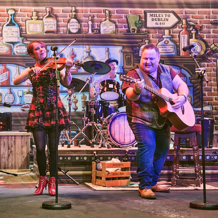 The Wild Murphys - One Night In Dublin