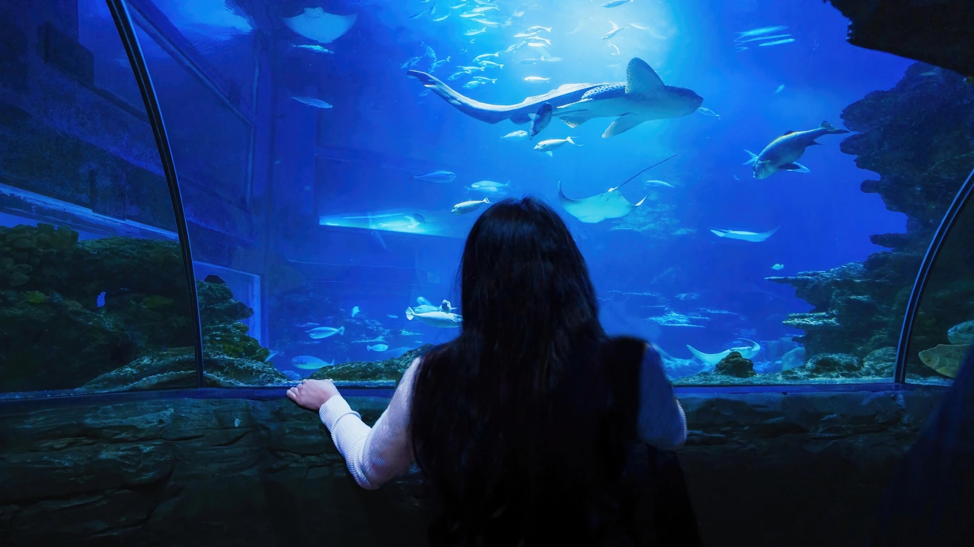 Sea Life London Aquarium