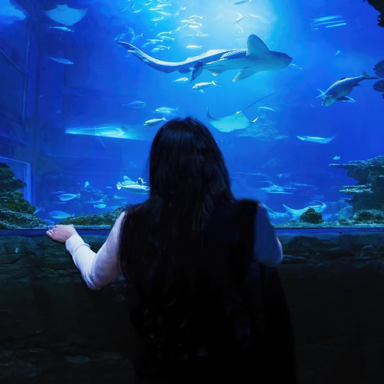 Sea Life London Aquarium