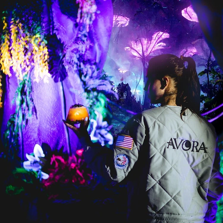 Avora - A New World Immersive Experience