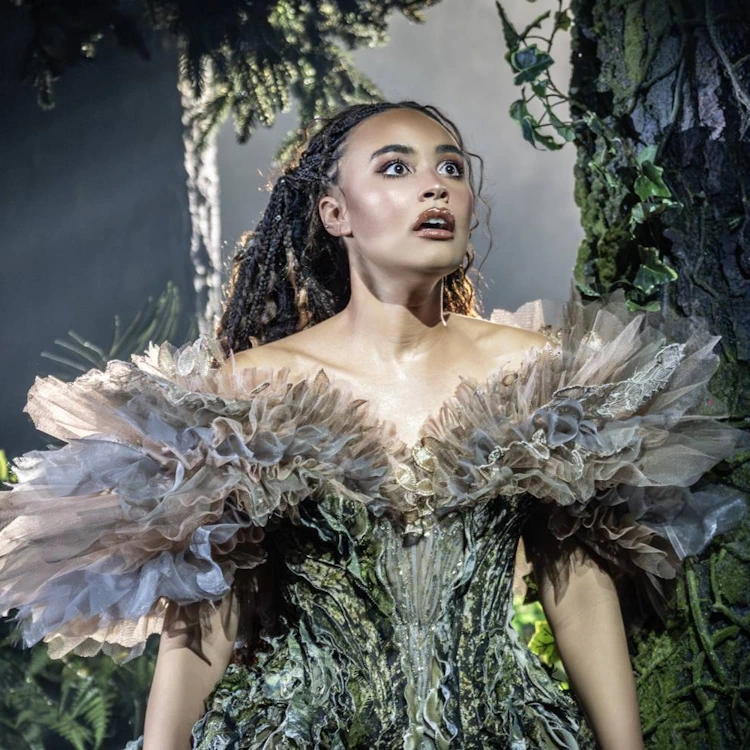 Into The Woods