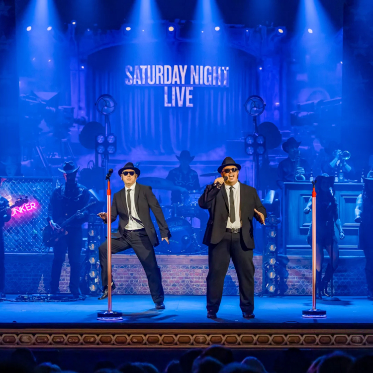 The Chicago Blues Brothers