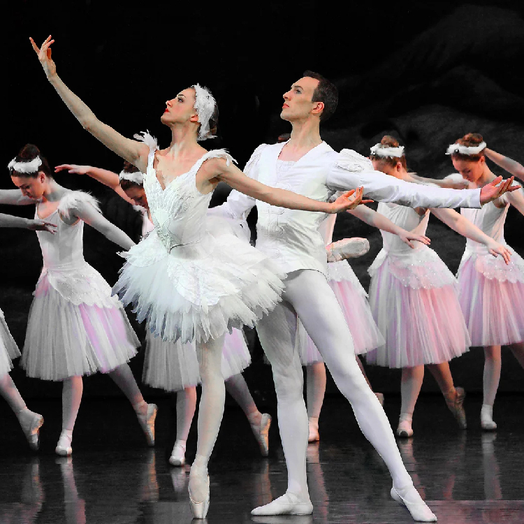 English Youth Ballet - Swan Lake