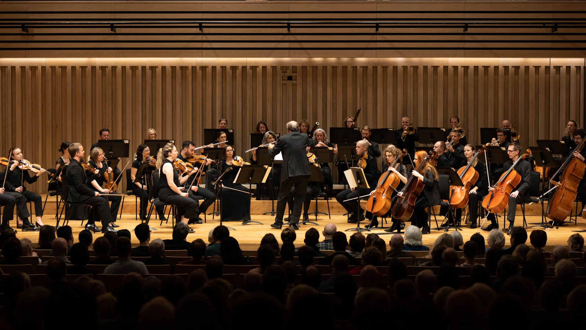 Manchester Camerata - 8 Songs for a Mad King
