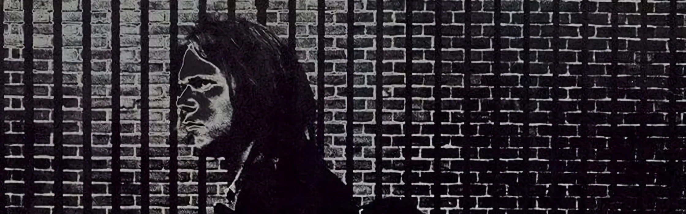 Neil Young