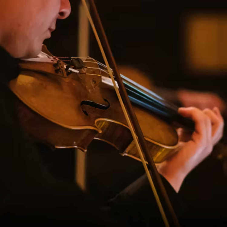Mystery Ensemble - Tribute to Max Richter