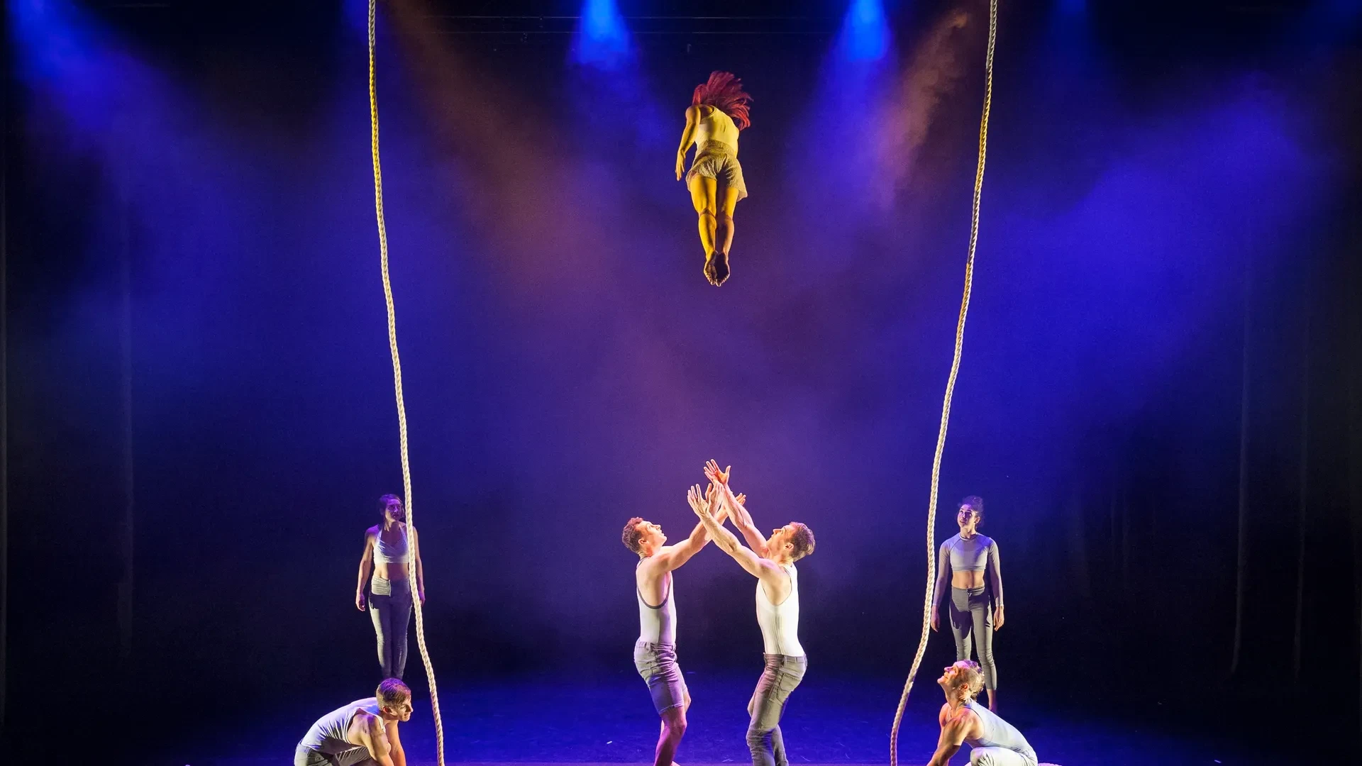 One Fell Swoop Circus - By A Thread