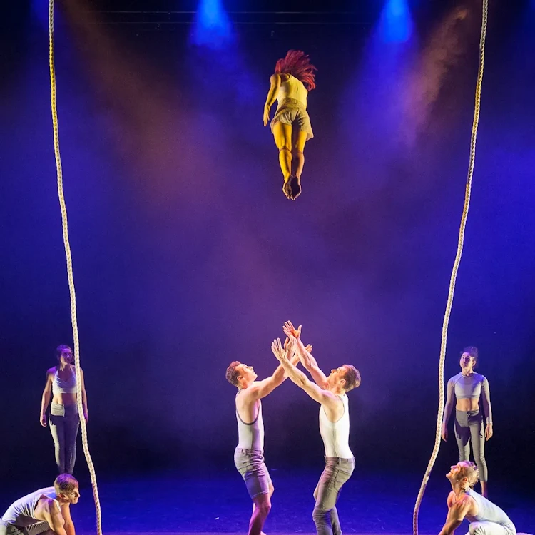 One Fell Swoop Circus - By A Thread
