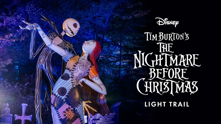 The Nightmare Before Christmas Light Trail