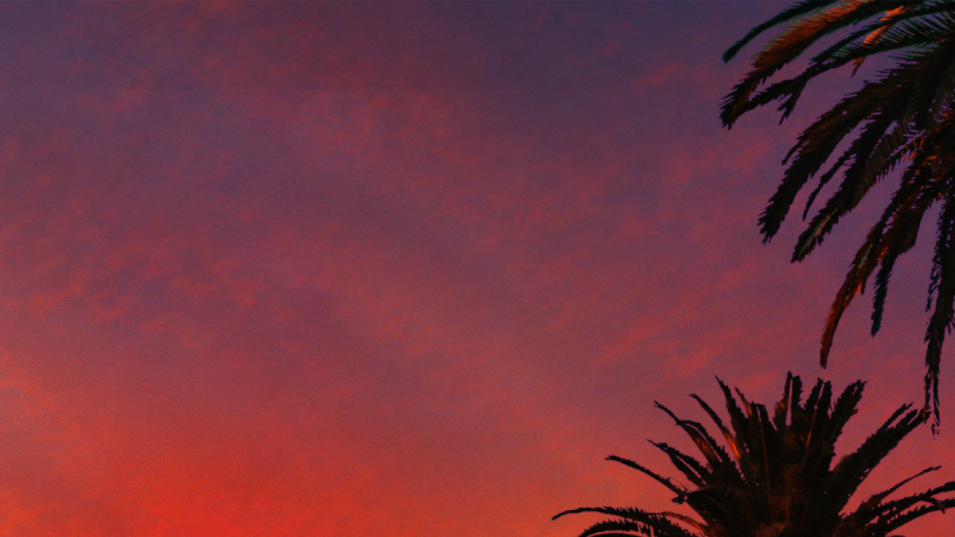 Sunset Boulevard